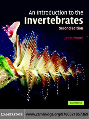 cover image of An Introduction to the Invertebrates
